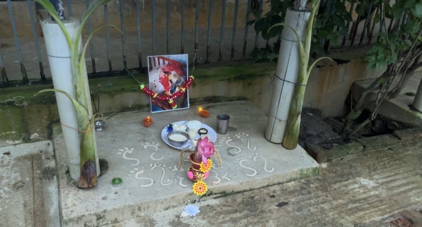 Kolkata Woman Honors Late Dog with Yearly Lakshmi Pooja