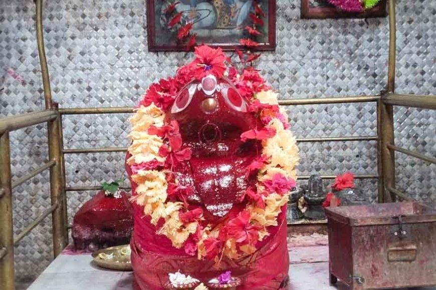 Dakshina Kali is worshiped as a tiger Idol in Kandi temple in Murshidabad