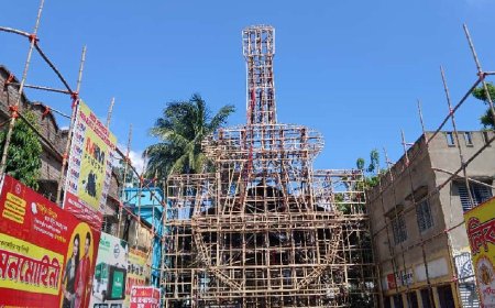 এবার পুজোয় সুরের মূর্ছনায় ভাসতে হলে দেখতে যেতে হবে বালার্ক সংঘের 'সুরের সেতু'