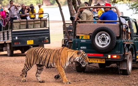 পুজোয় চলুন অচিনপুরে, ছুটিতে ঘুরতে যাওয়ার কিছু অফবিট গন্তব্যের রইল খোঁজ