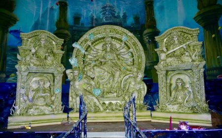 মহম্মদ আলি পার্কের ইউথ অ্যাসোসিয়েশন উন্মোচন করল ‘শক্তি সাগর’,  নারী এবং চিরন্তন রক্ষাকর্তার প্রতি শ্রদ্ধাঞ্জলি