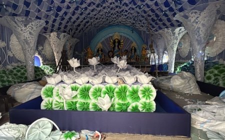 দিল্লি- এনসিআরের পুজো,  বৈশালির পুজোয় থিম ‘মা’, ইন্দিরাপুরমে ‘স্বপ্নের ২৫’