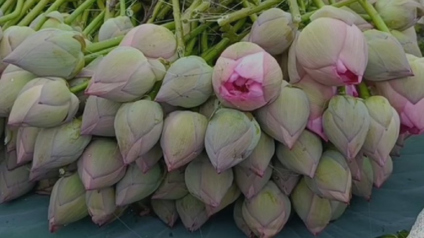 Durga Puja means a picture of communal harmony