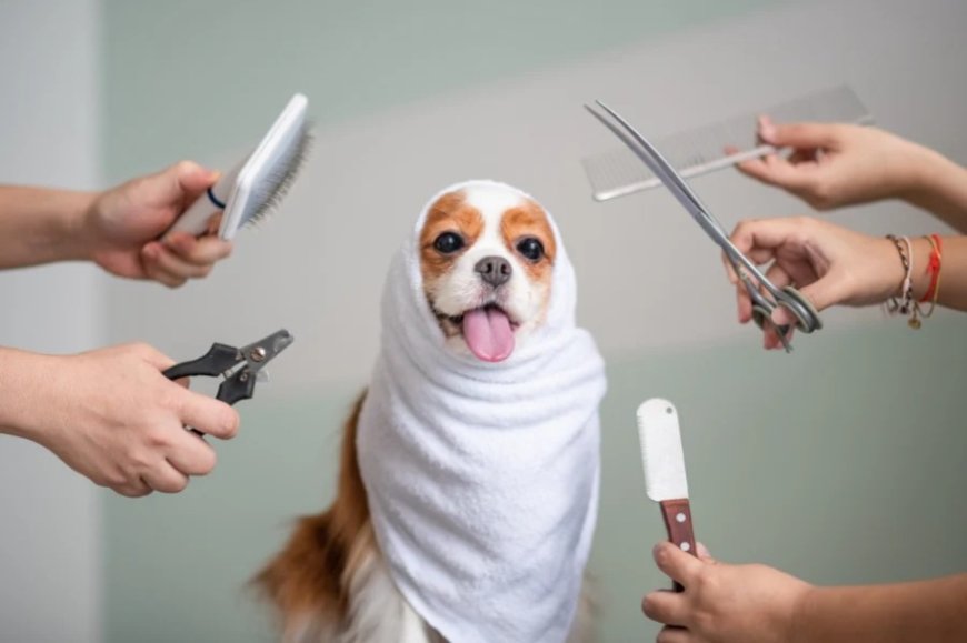 Durga Puja 2025: Deck up your pet in festive wear and puja special look