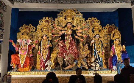 ভিড়ে পা রাখাই দায়, আলিপুরদুয়ারে এবারে বড় আকর্ষণ গুজরাটের 'স্বামীনারায়ণ মন্দির'