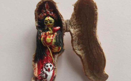 বাদামের খোল খুলতেই চমক! লক্ষ্মীপুজোর আগে বাঁকুড়ার শিল্পীর অনন্য সৃষ্টি দেখলে চমকে যাবেন