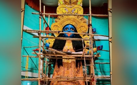 শতবর্ষের প্রাক্কালে 'সোনালি' চমক, পাথুরিয়াঘাটায় পুরনো রূপে বড় কালী, রইল প্রথম ঝলক