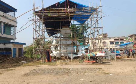 কালীপুজোর রাতে আরাধনা হয় ৩৩ কোটি দেবতার, রাজ্যের এই গ্রামে পুজোর রীতিনীতি চমকে দেবে আপনাকেও