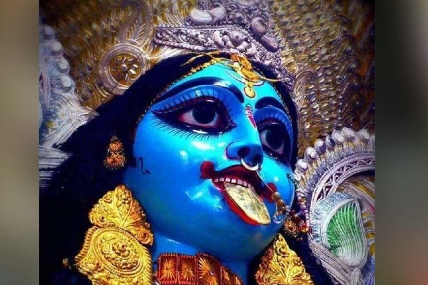 পুজো প্রসঙ্গে জানা যায়, শুরুর দিকে  প্রতিমা নীল রঙেরও ছিল না। পুজো কর্তারা জানান, রঙ বদলের পিছনে বেশ কয়েকটি কারণ রয়েছে। পাথুরিয়াঘাটার পুজো বরাবর হয় বৈষ্ণব মতে হত, মাঝে এক বছর প্রতিমা নিরঞ্জনের সময় বিপত্তি ঘটে। অনেকেই বলেছিলেন কালো মায়ের পুজো শাক্ত মতে হওয়া দরকার ছিল।সব মিলিয়ে আলোচনা করে বদলে যায় মায়ের গায়ের রঙ। ৩০ ফুটের শ্যামা মায়ের হাতে থাকে ৬ ফুটের খড়্গ। ঠাকুরের জিভ সোনার, তাছাড়াও সোনা, রূপো মিলিয়ে হার, চোখ, আংটি, আম্রপল্লব, জবা ফুল, চাঁদ মালা, পঞ্চপ্রদীপ, ঘটসহ আরও একগুচ্ছ গয়না এবং  পুজোর সামগ