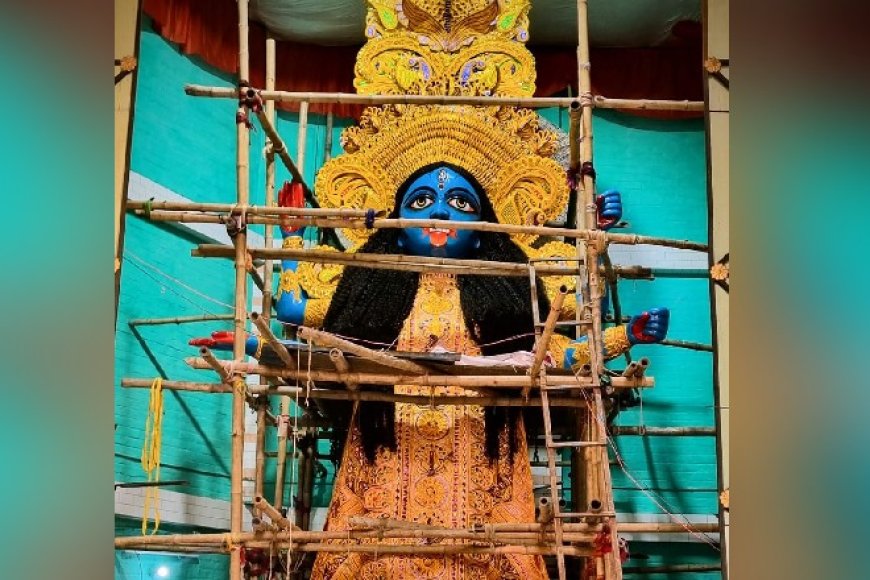 শতবর্ষের প্রাক্কালে 'সোনালি' চমক, পাথুরিয়াঘাটায় পুরনো রূপে বড় কালী, রইল প্রথম ঝলক